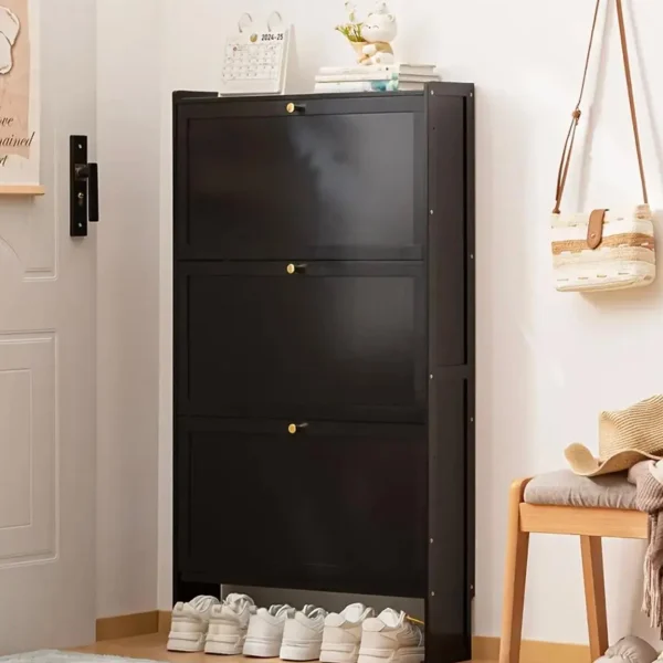 Armoire à chaussures noire 2 niveaux