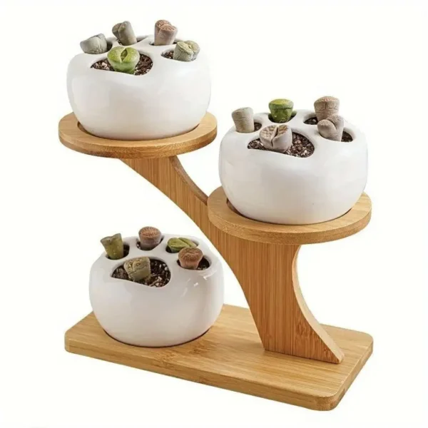 Support à plantes en bambou à 3 niveaux pour plantes grasses et en pot