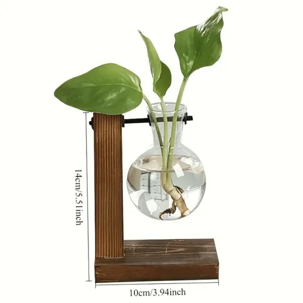 Vase hydroponique en verre et bois